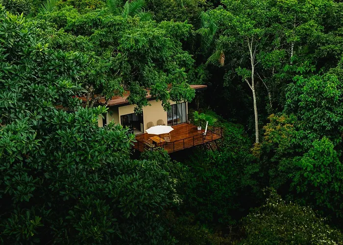 Maze Lodge