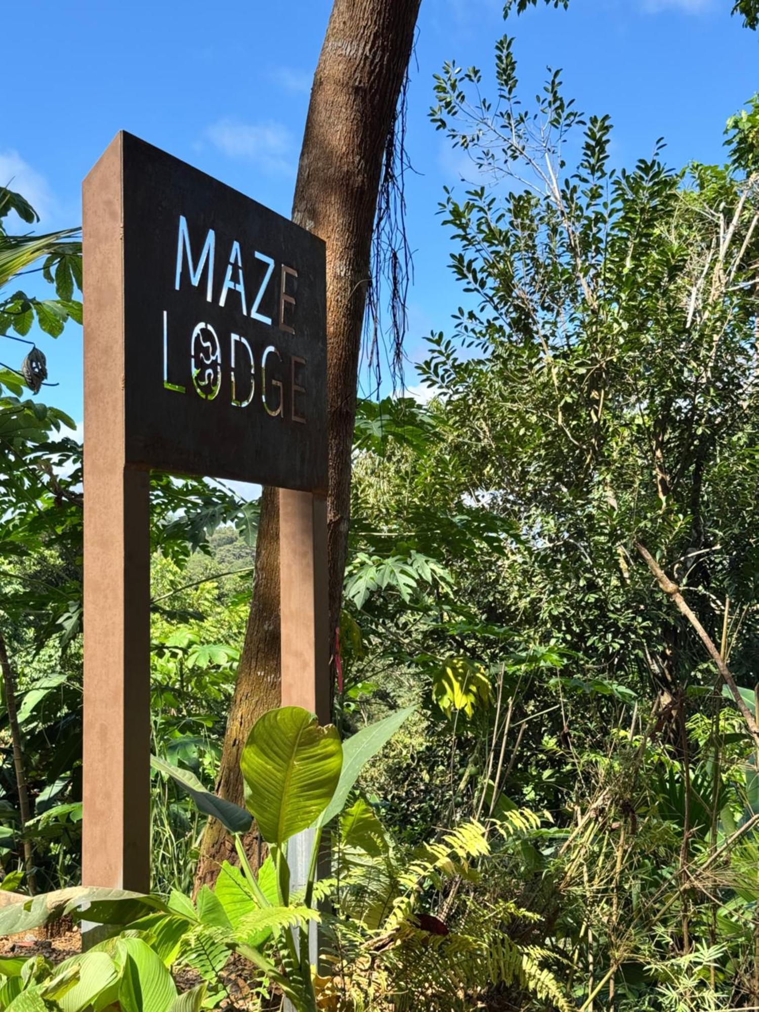 Maze * Puerto Jimenez